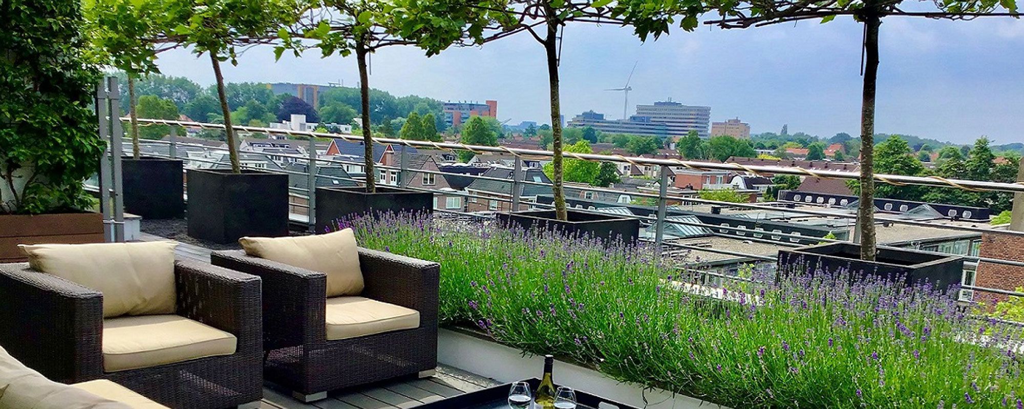 beplanting moderne tuin